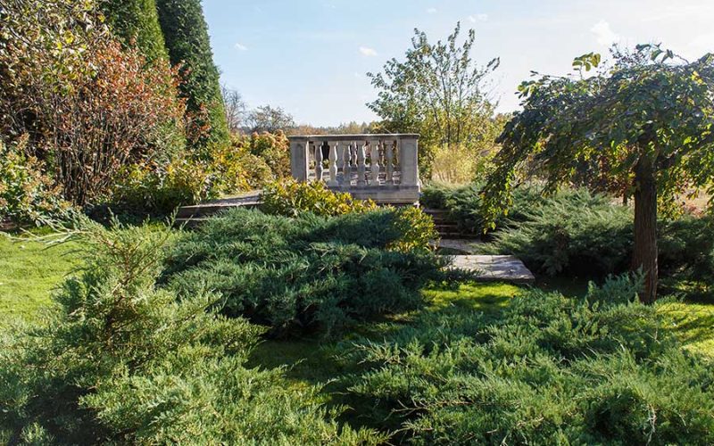 cottage-garden-with-green-lawn-trees-and-trimmed-RSV5R6Cjpg