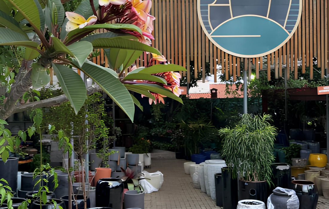 Venda de Plantas Selecionadas