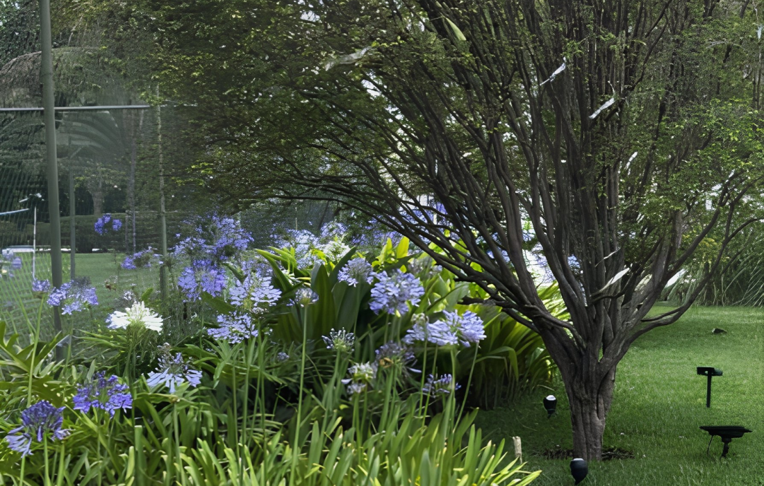 Paisagismo Autoral​