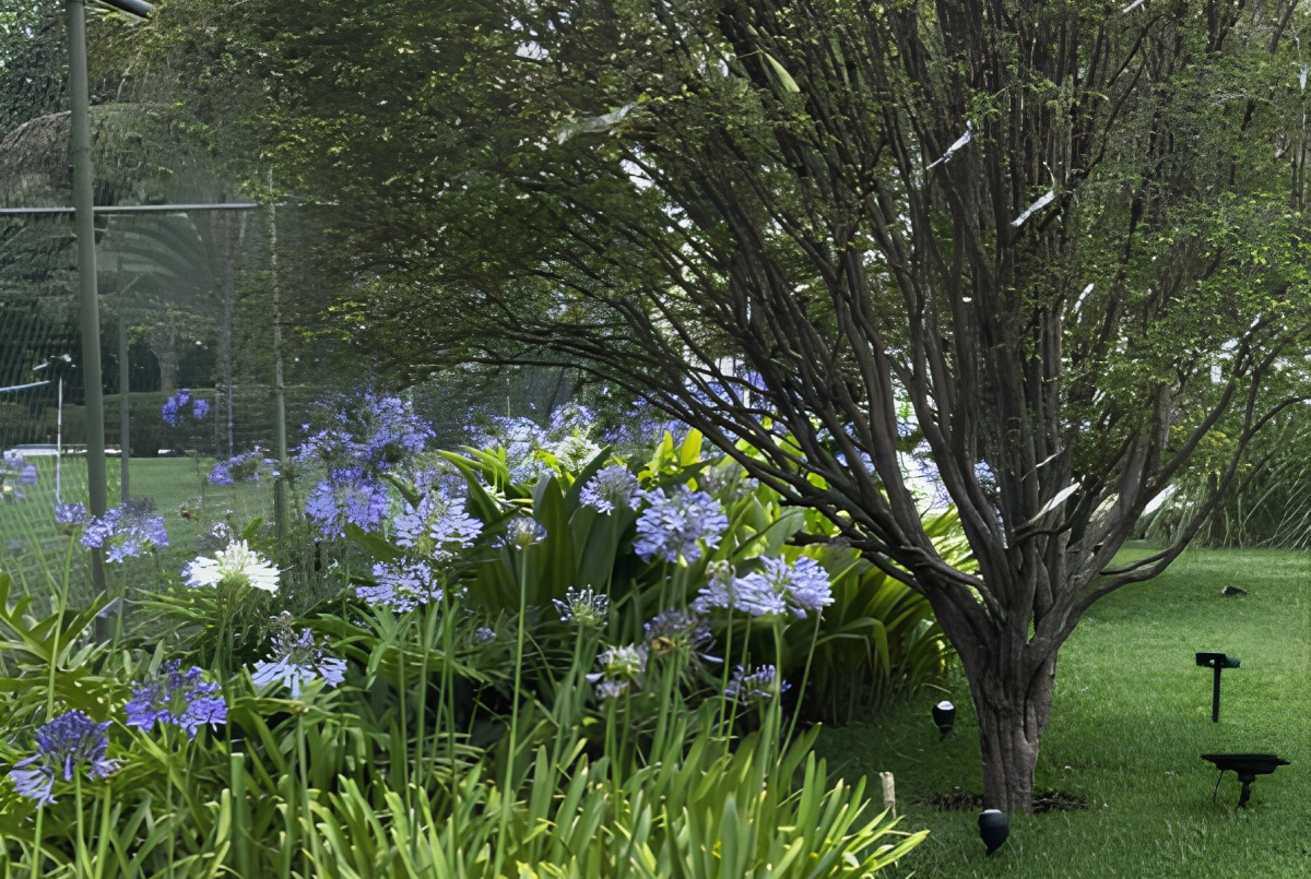 Paisagismo Autoral​