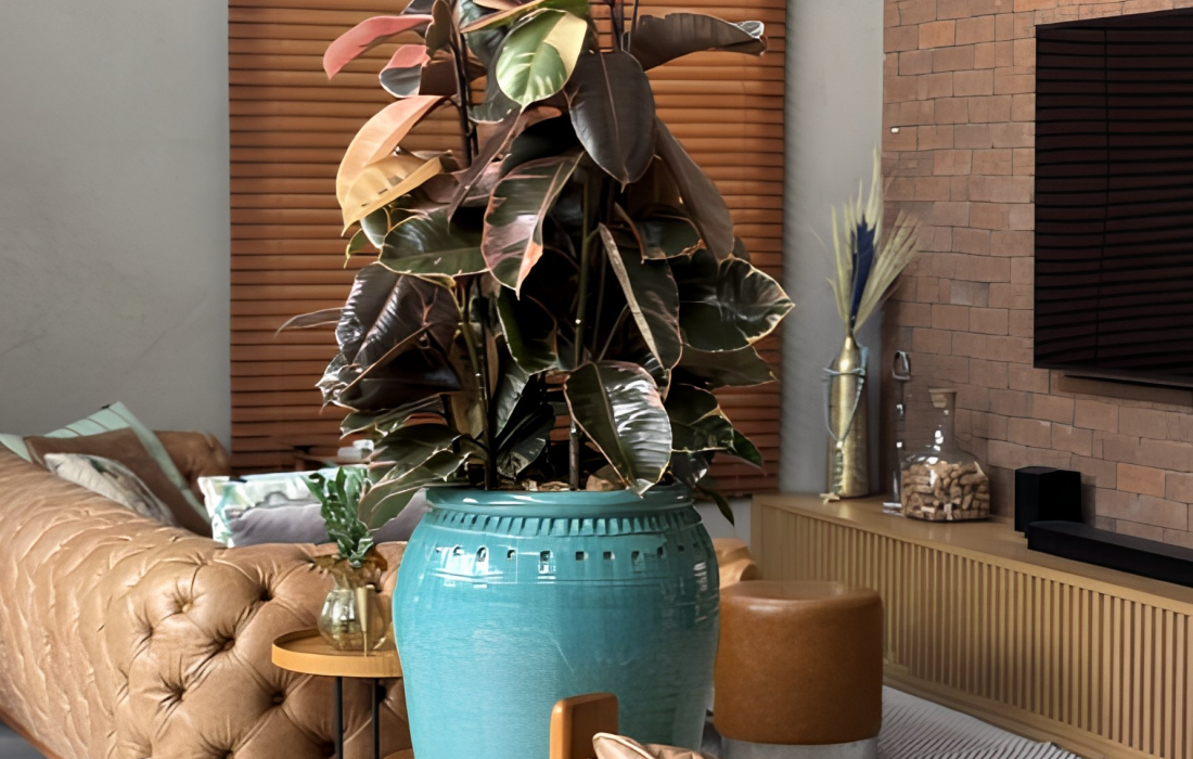 Ambientação com Vasos