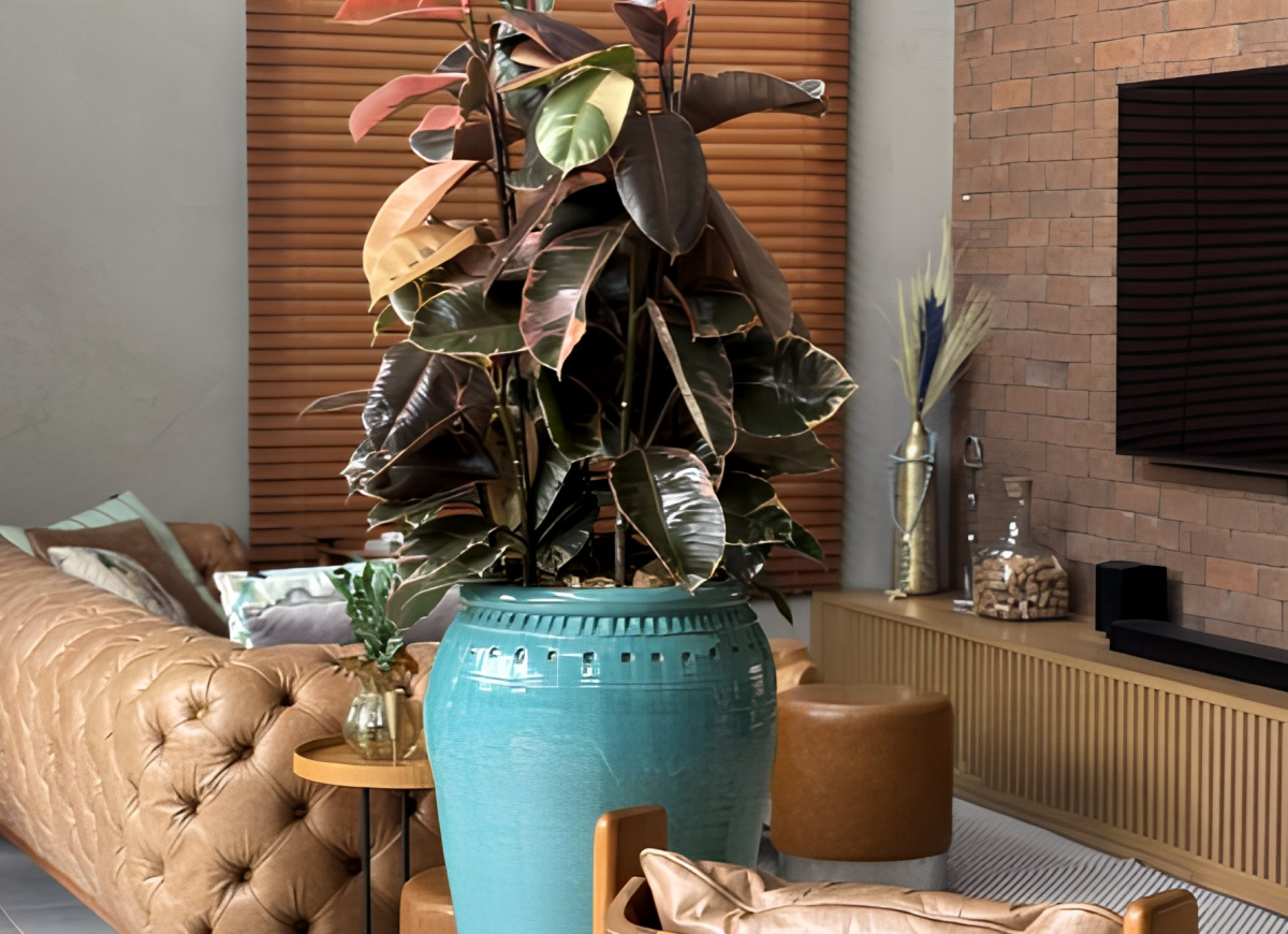 Ambientação com Vasos